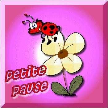 ma petite pause chat l heureuse